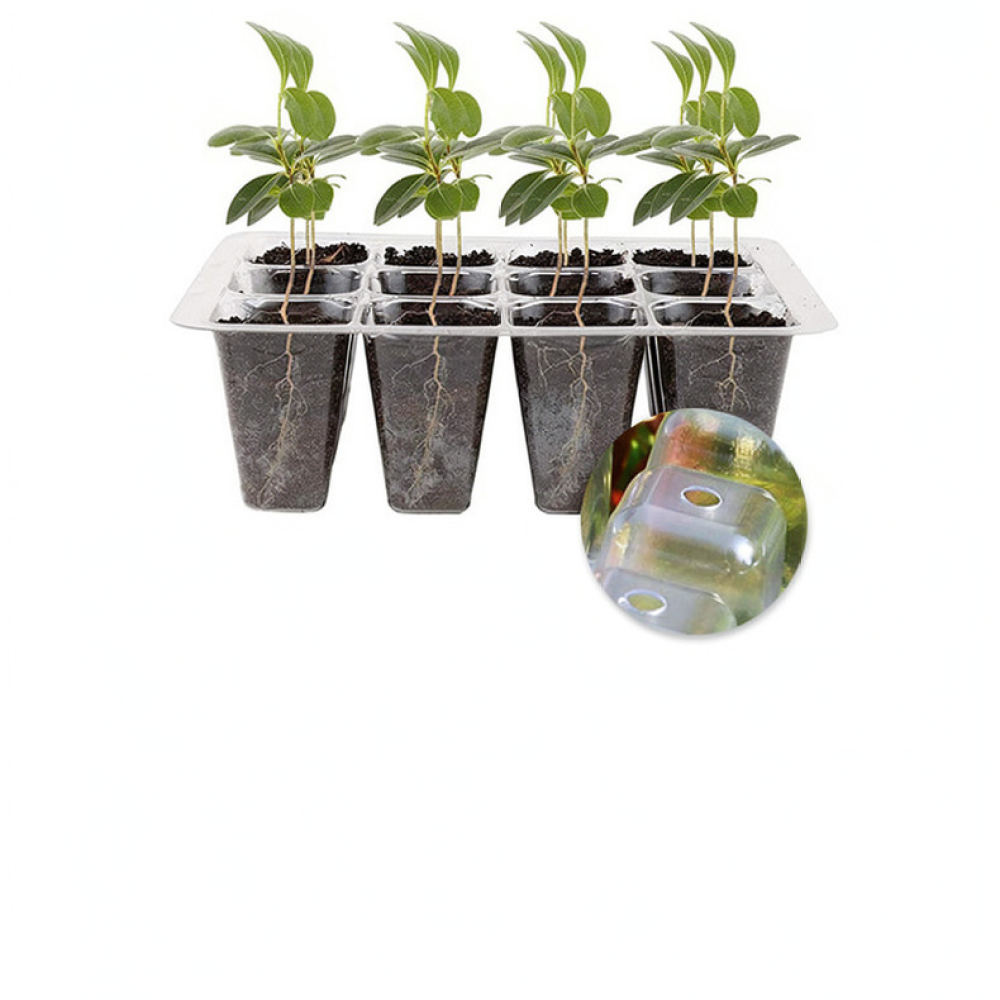 Indoor Garden Kit - 실내 가정용 원예 및 식물 번식을