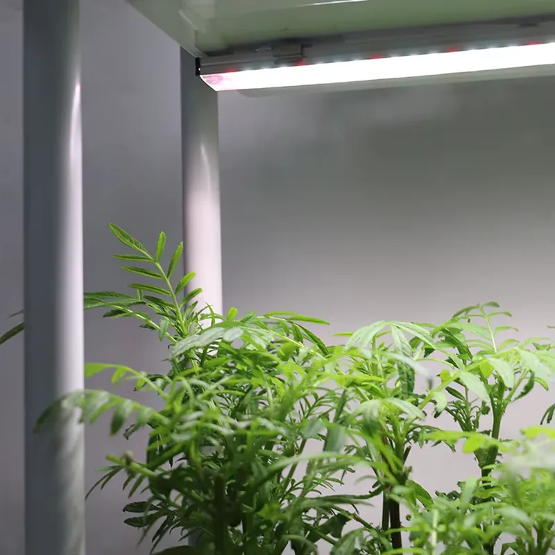 이동식 수직형 3단 자동 급수 스마트 정원 화분 스탠드 - Smart Garden System 리뷰 및 가격