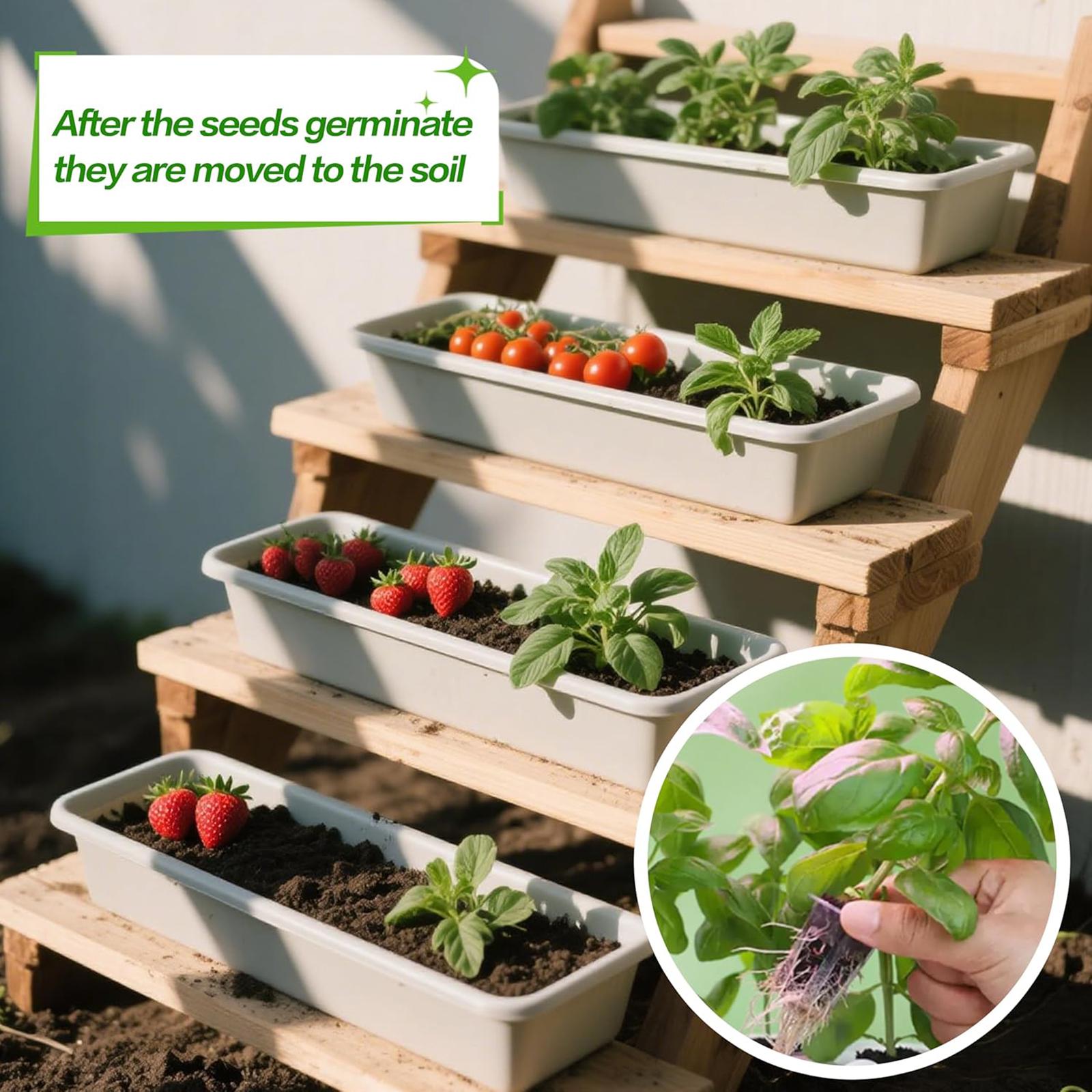 50개입 성장 스펀지 뿌리 성장 스펀지 토양 수경재배용 - Hydroponic Grow Pod 리뷰 및 가격