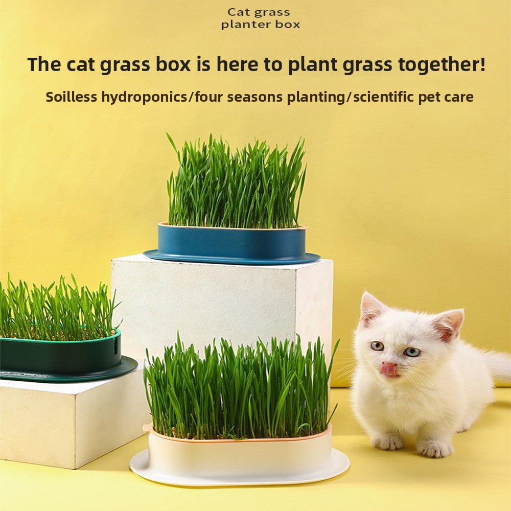 애완 동물 용품 고양이 간식 고양이 심기 수경 상자 고 - Hydroponic Grow Pod 리뷰 및 가격