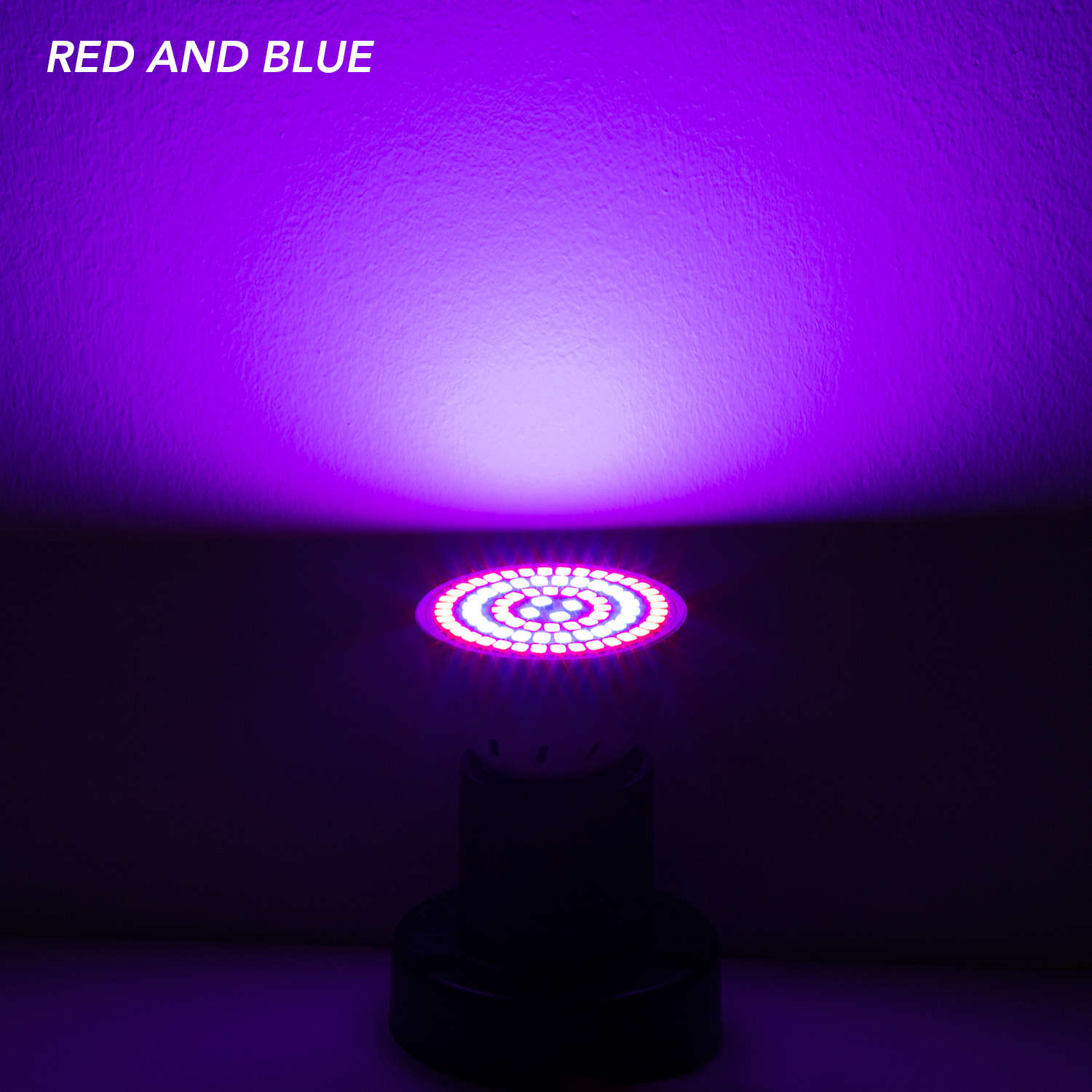 E27 LED 식물 램프 전체 스펙트럼 수경 묘목 성장 - Plant Grow Light Full Spectrum 리뷰 및 가격