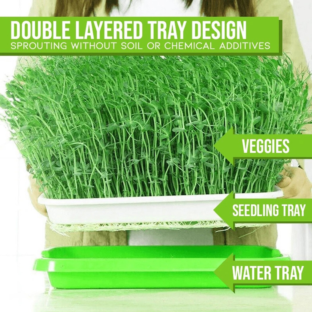 Microgreens Sprouter 트레이 수경/싹  - Hydroponic Grow Pod 리뷰 및 가격