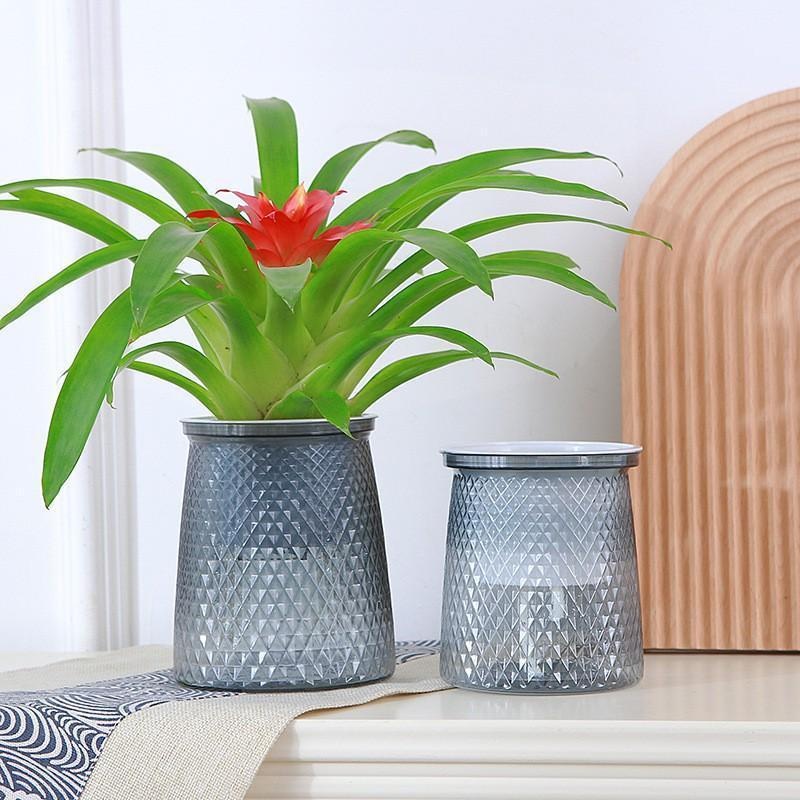 2024 투명 자체 급수 꽃 냄비 플라스틱 화분 홈 장 - Self Watering Planter 리뷰 및 가격