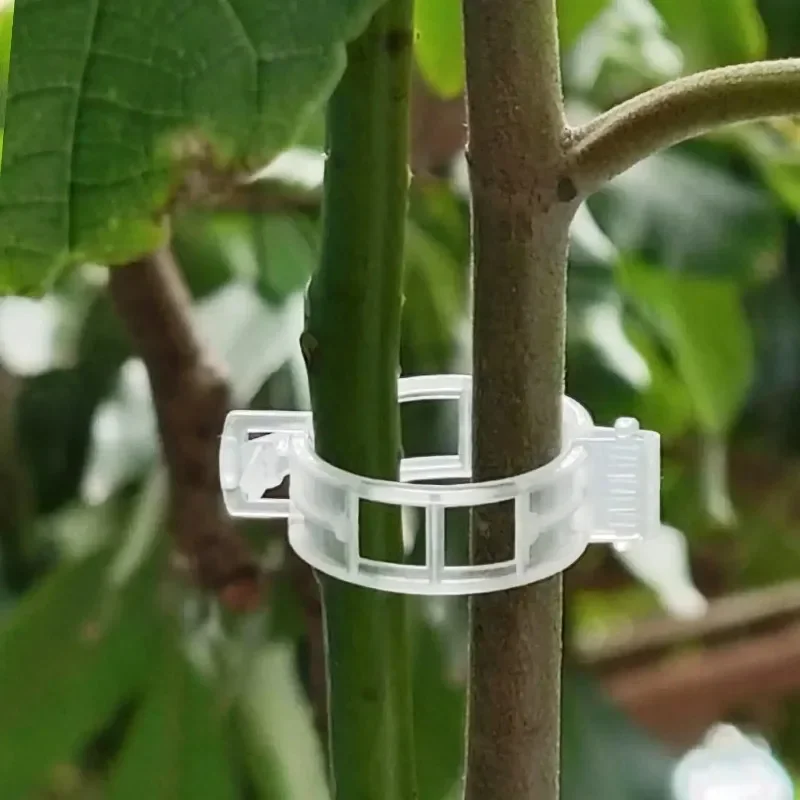 식물 지지 클립 재사용 가능한 플라스틱 덩굴 고정 클립 - Smart Garden Kit 리뷰 및 가격