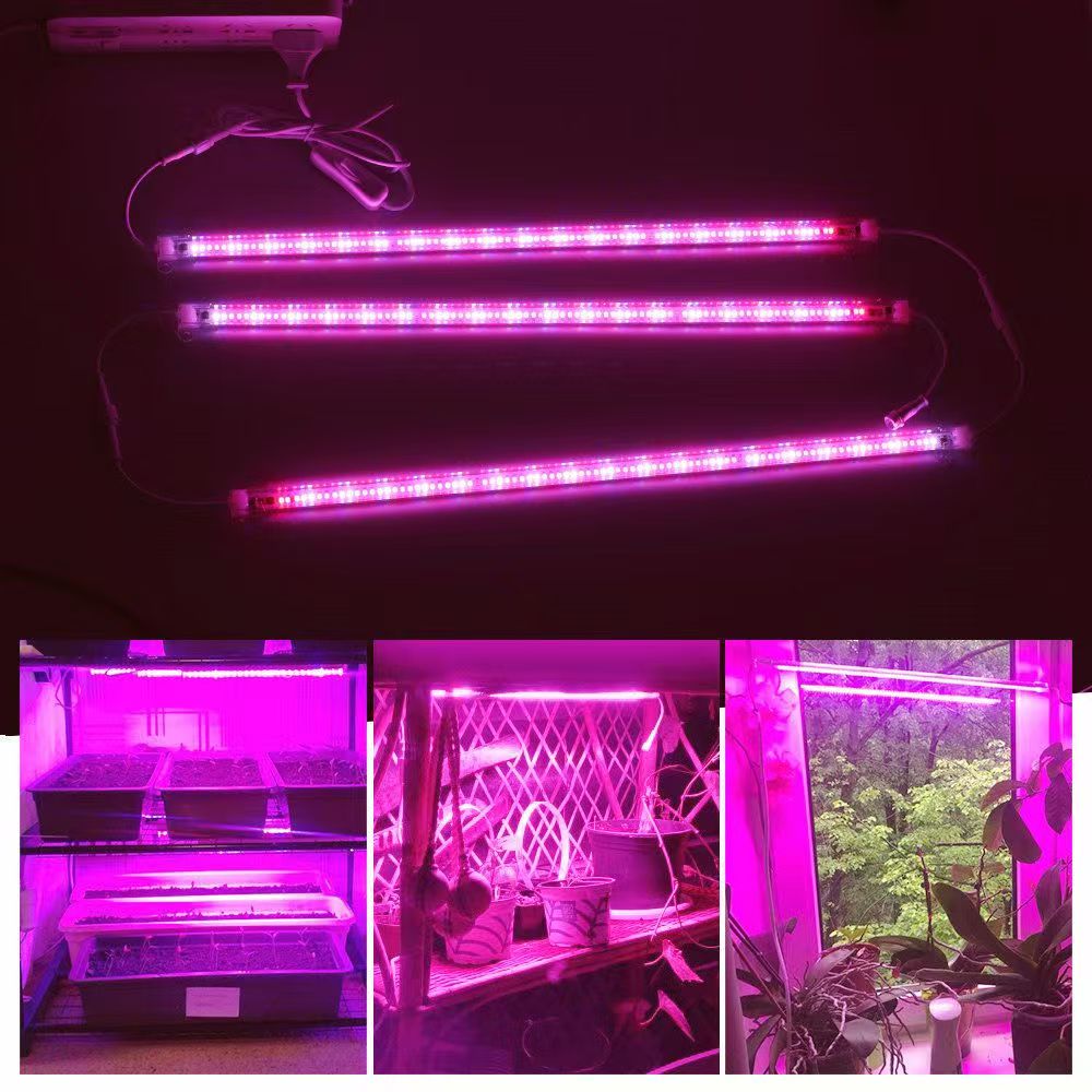 12인치 LED 식물 성장 조명 스트립 실내 식물 수경 - Plant Grow Light Full Spectrum 리뷰 및 가격
