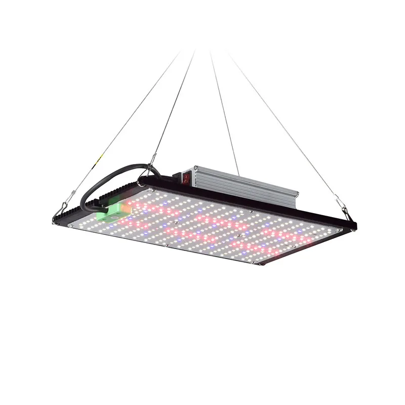 LED 퀀텀보드 식물 재배 조명, 실내 온실 채소 및  - Plant Grow Light Full Spectrum 리뷰 및 가격